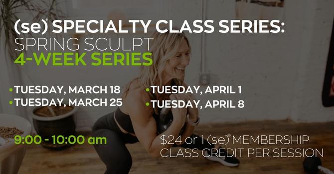 (se)® Specialty Series: Spring Sculpt-Week 1