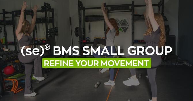 (se)® BMS Small Group