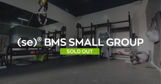 (se)® BMS Small Group