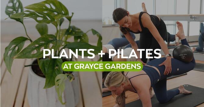 Plants + Pilates