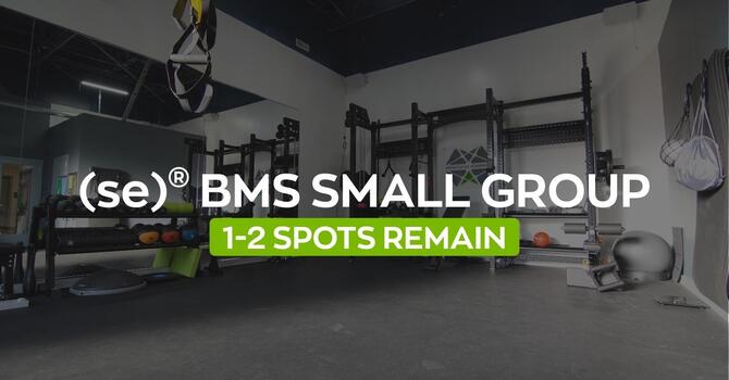 (se)® BMS Small Group