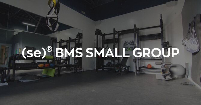 (se)® BMS Small Group